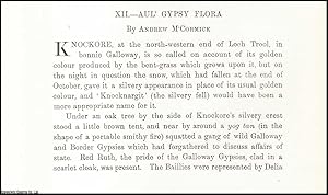 Imagen del vendedor de Aul' Gypsy Flora. An uncommon original article from the Journal of the Gypsy Lore Society, 1928. a la venta por Cosmo Books