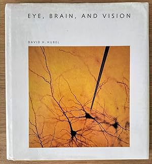 Immagine del venditore per Eye, Brain and Vision ("Scientific American" Library) venduto da Cracabond Books