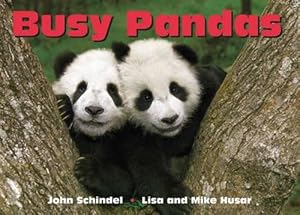 Seller image for Busy Pandas (Board Book) for sale by Grand Eagle Retail