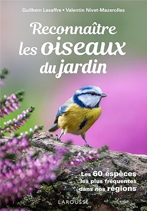 reconnaître les oiseaux du jardin : les 60 espèces les plus fréquentes dans nos régions