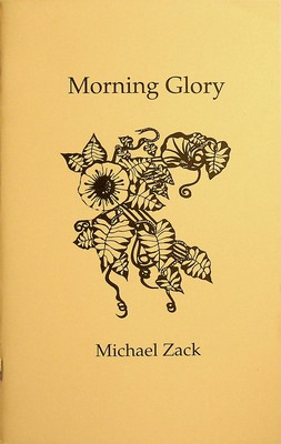 Seller image for Morning Glory for sale by Kennys Bookshop and Art Galleries Ltd.