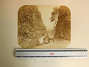 Image du vendeur pour Album de photogaphies de JAVA, BATAVIA, INDONESIE (1860). mis en vente par Librairie L'Abac / Gimmic SRL