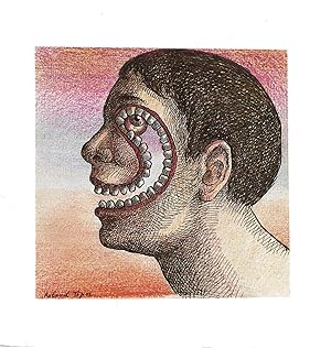 Roland Topor : Qui est Topor?