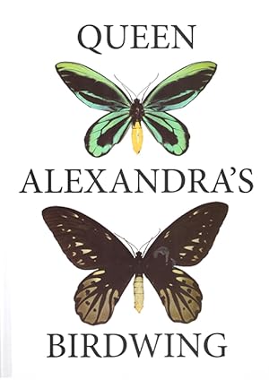 Immagine del venditore per Queen Alexandra's Birdwing Butterfly Ornithoptera alexandrae (Rothschild, 1907): a review and conservation proposals venduto da PEMBERLEY NATURAL HISTORY BOOKS BA, ABA