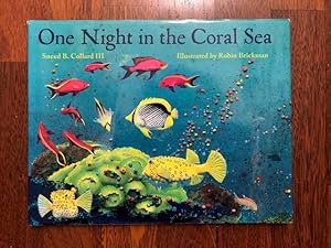 One Night in the Coral Sea