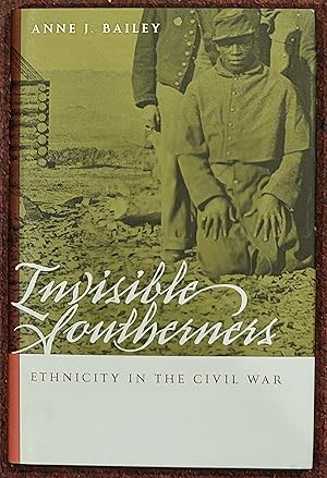 Invisible Southerners: Ethnicity in the Civil War (Georgia Southern University Jack N. and Addie ...