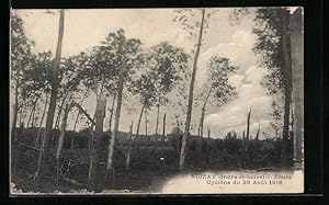 Carte postale Noizay, Effets, Cyclone du 26 Aout 1916