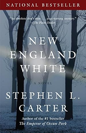 Seller image for New England White (Vintage Contemporaries) for sale by Redux Books