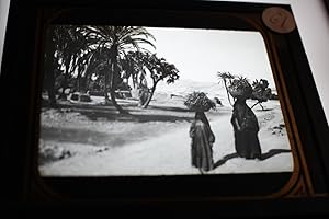 Magic Lantern Slide: On the Road to KURNA, Egypt.