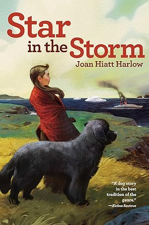 Image du vendeur pour Star in the Storm mis en vente par Reliant Bookstore