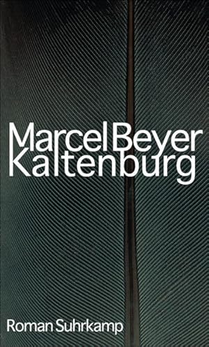 Seller image for Kaltenburg Roman for sale by antiquariat rotschildt, Per Jendryschik