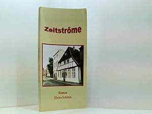 Zeitströme. Roman. (Book on Demand)