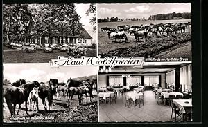 Seller image for Ansichtskarte Dlmen, Gasthaus Waldfrieden innen und aussen, Wildpferde im Merfelder Bruch for sale by Bartko-Reher