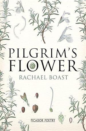 Seller image for Pilgrim's Flower for sale by WeBuyBooks