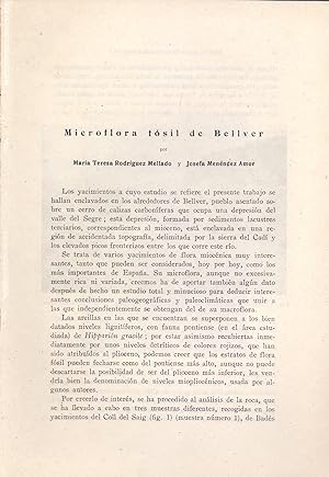 Imagen del vendedor de MICROFLORA FOSIL DE BELLVER - LERIDA - (EXTRAIDO ORIGINAL AO 1948, ESTUDIO COMPLETO TEXTO INTEGRO) a la venta por Libreria 7 Soles