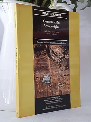 CONSERVACIÓN ARQUEOLÓGICA. reflexión y debate sobre teoría y práctica (Cuadernos del Instituto An...