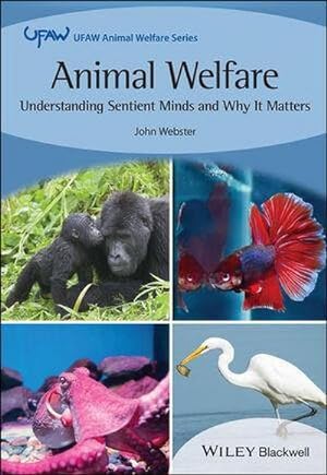 Bild des Verkufers fr Animal Welfare : Understanding Sentient Minds and Why It Matters zum Verkauf von AHA-BUCH GmbH