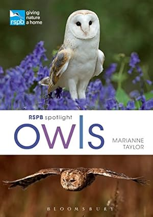 Seller image for RSPB Spotlight Owls by Taylor, Marianne [Paperback ] for sale by booksXpress