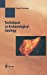 Immagine del venditore per Techniques in Archaeological Geology (Natural Science in Archaeology) by Garrison, Ervan G. [Paperback ] venduto da booksXpress