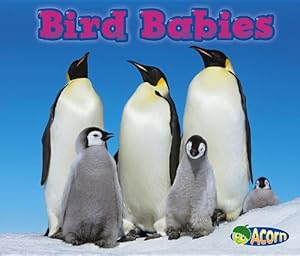 Seller image for Bird Babies (Animal Babies) by Veitch, Catherine [Paperback ] for sale by booksXpress