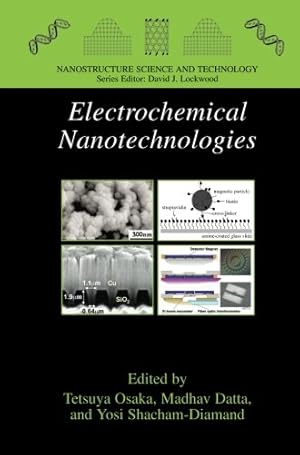 Seller image for Electrochemical Nanotechnologies (Nanostructure Science and Technology) [Paperback ] for sale by booksXpress