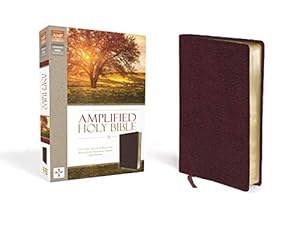 Immagine del venditore per Amplified Holy Bible, Bonded Leather, Burgundy: Captures the Full Meaning Behind the Original Greek and Hebrew [No Binding ] venduto da booksXpress