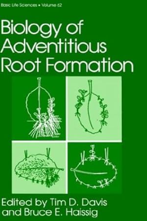 Bild des Verkufers fr Biology of Adventitious Root Formation (Basic Life Sciences (62)) [Hardcover ] zum Verkauf von booksXpress