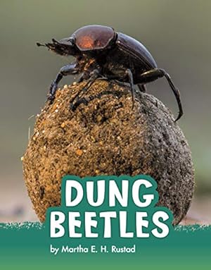 Bild des Verkufers fr Dung Beetles (Animals) by Rustad, Martha Elizabeth Hillman [Paperback ] zum Verkauf von booksXpress
