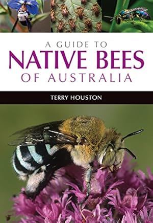 Seller image for A Guide to Native Bees of Australia [Soft Cover ] for sale by booksXpress