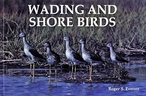 Imagen del vendedor de Wading and Shore Birds: A Photographic Study by Everett, Roger S. [Paperback ] a la venta por booksXpress