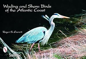 Immagine del venditore per Wading and Shore Birds of the Atlantic Coast: Postcards by Everett, Roger S. [Card Book ] venduto da booksXpress