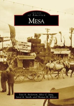 Immagine del venditore per Mesa (Images of America: Arizona) by Anderson, Lisa A., Jung, Alice C., Smith, Jared A., Wilson, Thomas H. [Paperback ] venduto da booksXpress