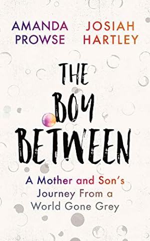 Seller image for The Boy Between: A Mother and Sonâs Journey From a World Gone Grey by Hartley, Josiah, Prowse, Amanda [Audio CD ] for sale by booksXpress