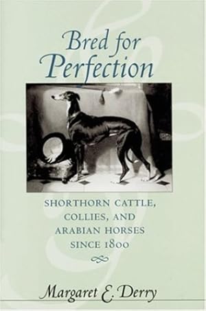 Seller image for Bred for Perfection: Shorthorn Cattle, Collies, and Arabian Horses since 1800 (Animals, History, Culture) by Derry, Margaret E. [Hardcover ] for sale by booksXpress