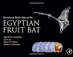 Seller image for Stereotaxic Brain Atlas of the Egyptian Fruit Bat by Eilam-Altstadter, Raya, Las, Liora, Witter, Menno, Ulanovsky, Nachum [Hardcover ] for sale by booksXpress