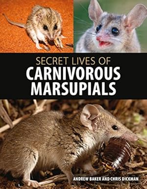 Seller image for Secret Lives of Carnivorous Marsupials [Hardcover ] for sale by booksXpress