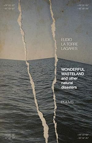 Imagen del vendedor de Wonderful Wasteland and other natural disasters: Poems (Contemporary Poetry And Prose) by La Torre Lagares, Elidio [Paperback ] a la venta por booksXpress