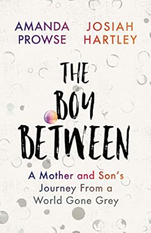 Seller image for The Boy Between: A Mother and Sonâs Journey From a World Gone Grey by Hartley, Josiah, Prowse, Amanda [Paperback ] for sale by booksXpress