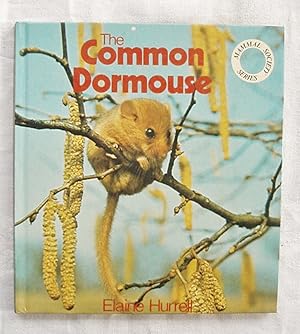 The Common Dormouse.