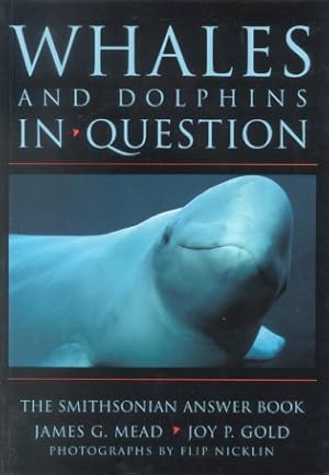 Seller image for Whales and dolphins in question. for sale by Andrew Isles Natural History Books