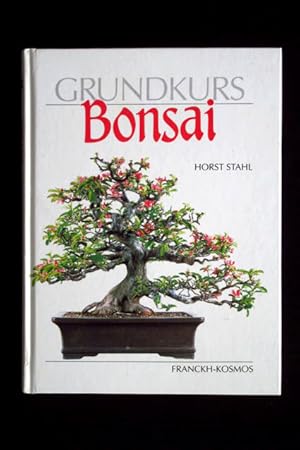 Grundkurs Bonsai.