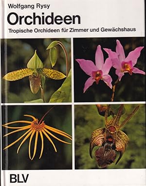 Bild des Verkufers fr Orchideen zum Verkauf von Clivia Mueller