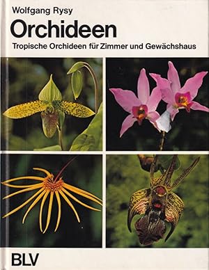 Bild des Verkufers fr Orchideen zum Verkauf von Clivia Mueller