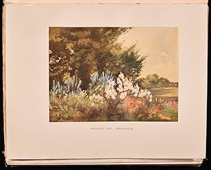 Bild des Verkufers fr Garden Colour zum Verkauf von Rooke Books PBFA