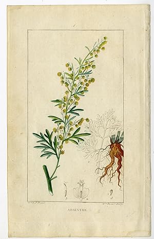 Antique Print-ABSINTHE-GRAND WORMWOOD-ARTEMISIA-Panckoucke-Chaumeton-1814