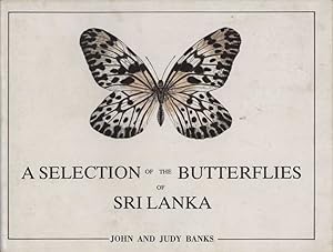 Image du vendeur pour A selection of the butterflies of Sri Lanka. mis en vente par Andrew Isles Natural History Books