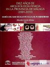 DIEZ AÑOS DE ARQUEOLOGIA FENICIA PROVINCIA DE MALAGA