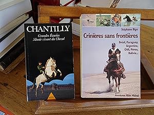 Image du vendeur pour Crinires sans frontires Brsil, Paraguay, Argentine, Chili, Prou, Bolivie mis en vente par librairie ESKAL