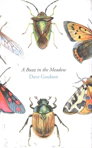 Immagine del venditore per A Buzz in the Meadow venduto da PEMBERLEY NATURAL HISTORY BOOKS BA, ABA