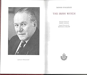 Seller image for The Irish Witch for sale by Books and Bobs